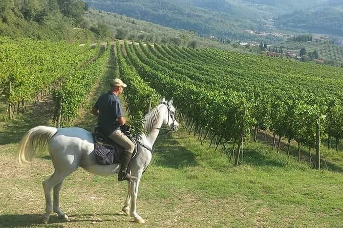 Horseback ride and gourmet cuisine in a historic food shop - From Piazza dei Cavalleggeri into the Chianti hills