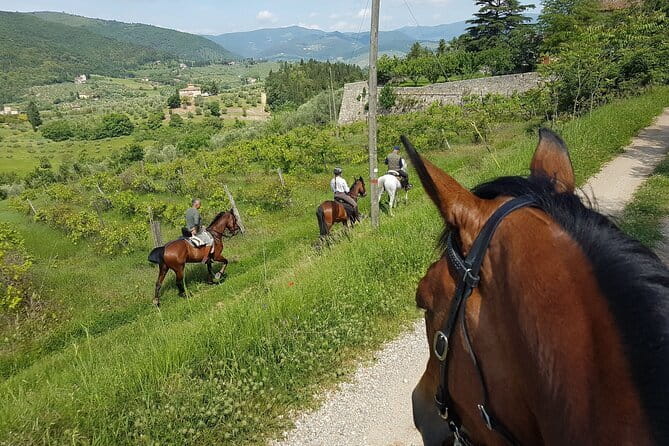 Horseback ride and gourmet cuisine in a historic food shop - Why the countryside setting matters