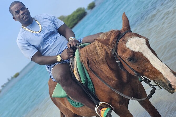 Horseback Ride and Swim Experience Montego with Transportation - The swim is the main event