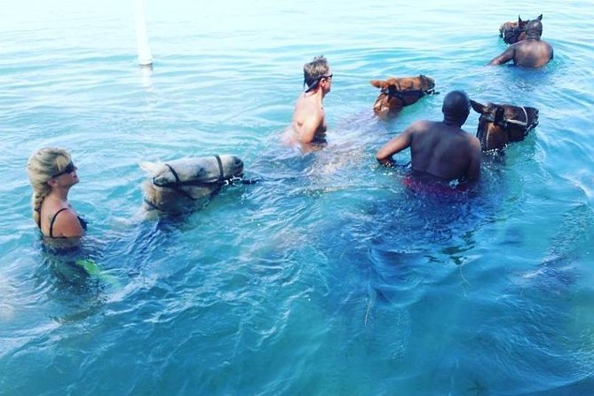 Horseback Ride and Swim From Ocho Rios - Riding from the beach into the Caribbean
