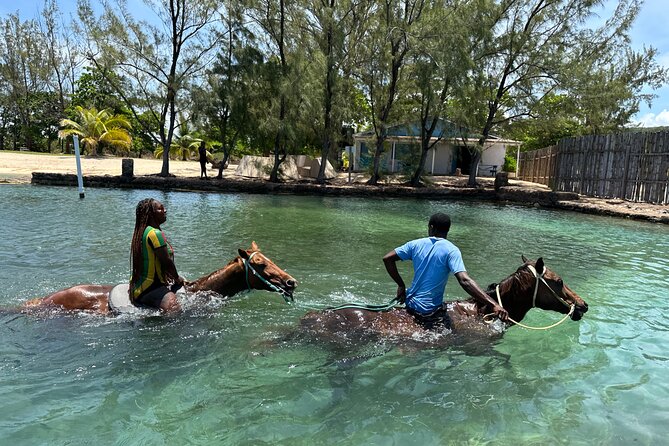 Horseback Ride and Swim Guided Tour from Montego Bay - The Caribbean Sea finale