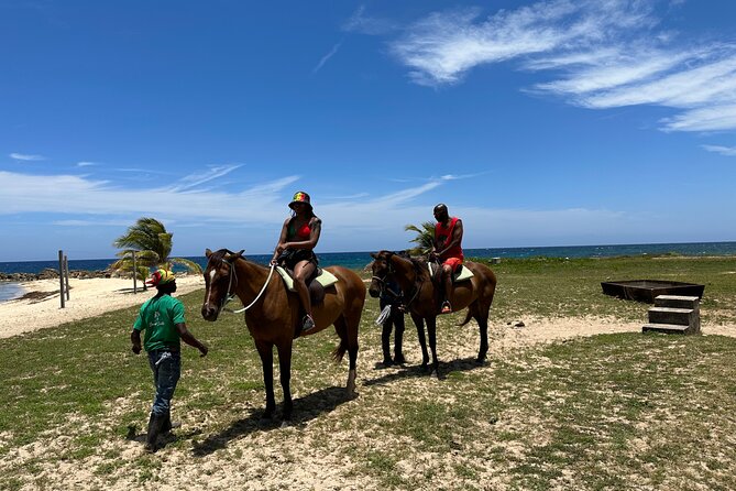 Horseback Ride and Swim Guided Tour from Montego Bay - How much riding experience do you need?