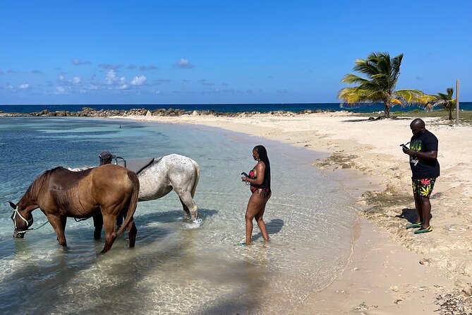 Horseback Ride and Swim Guided Tour from Montego Bay - Who should book this excursion?