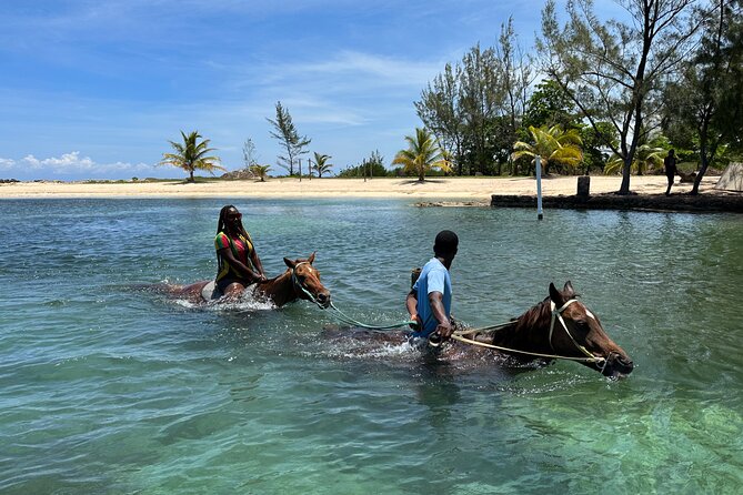 Horseback Ride and Swim Guided Tour from Montego Bay - From the private beach to Jamaica’s farmland