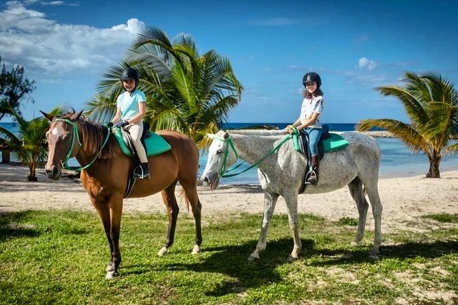 Horseback Ride and Swim Jamaica - From Montego Bay roads to the Jamaican countryside