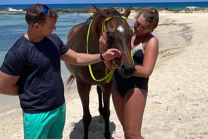 Horseback Ride and Swim Jamaica - Entering the Caribbean Sea with your horse