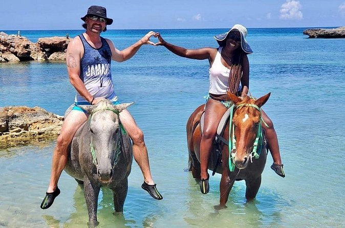Horseback Ride and Swim Jamaica - Who will enjoy this ride most