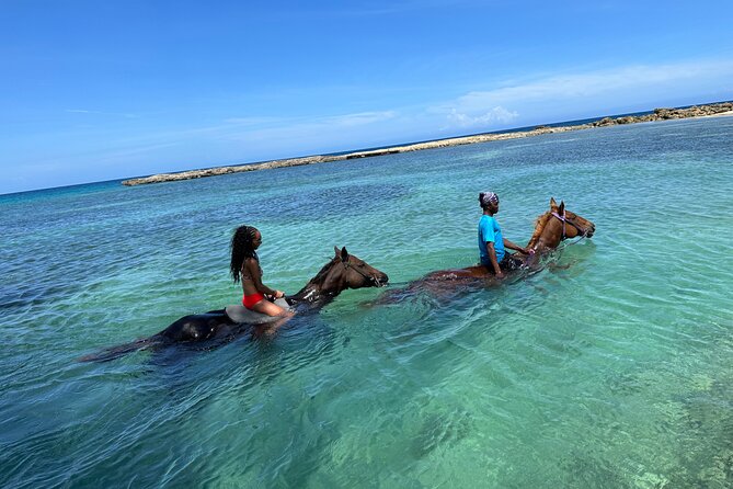 Horseback Ride and Swim Tour In Montego Bay - From Montego Bay pickup to the riding stable