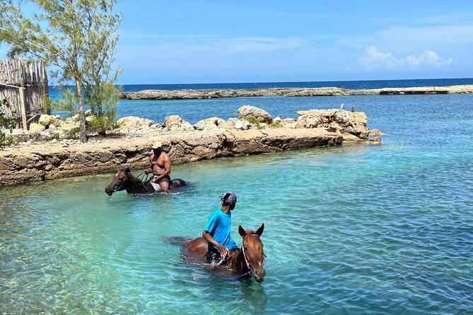 Horseback Ride and Swim Tour In Montego Bay - How much value do you get for $170?