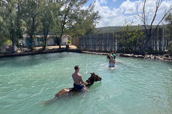 Horseback Ride and Swim Tour In Montego Bay - Practical planning for lunch, weather, and cancellation
