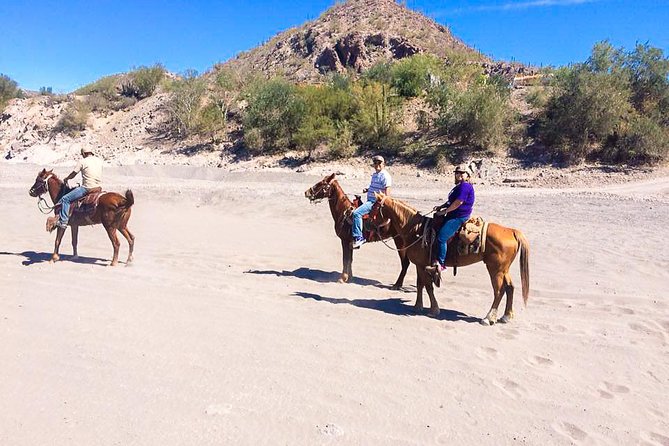 Horseback ride and witness magical sunset of Loreto, BCS - Choosing between beach riding and mountain trails