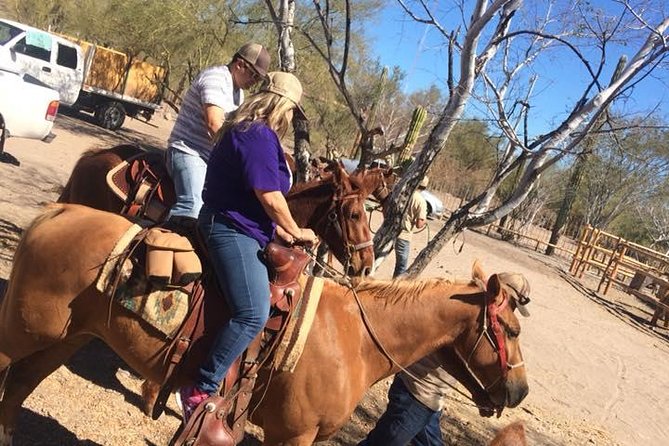 Horseback ride and witness magical sunset of Loreto, BCS - What the 90-minute ride feels like