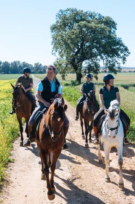 Horseback ride around Doñana National Park - Two hours through olive groves and pine forests