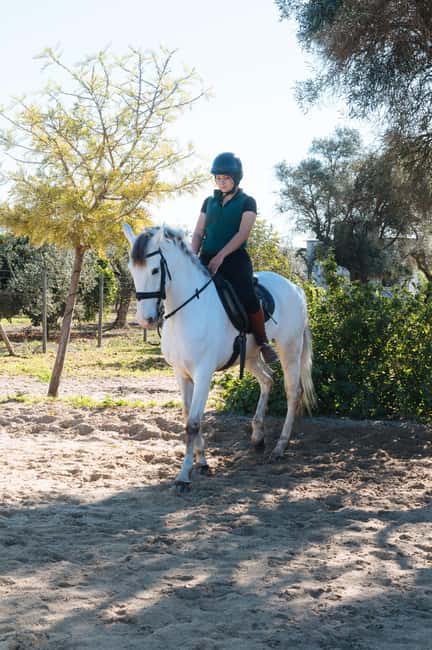 Horseback ride around Doñana National Park - A drink and a slower finish