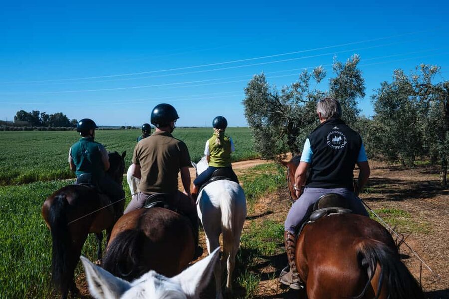 Horseback ride around Doñana National Park - Who will enjoy this ride most?
