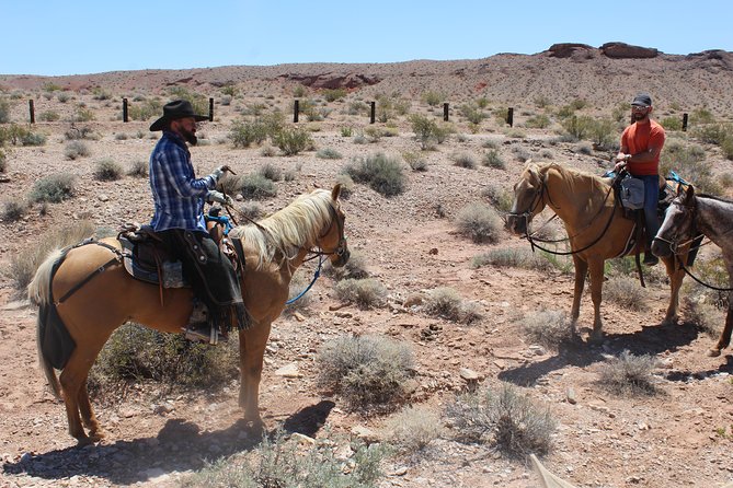 Horseback Ride in Las Vegas - Who Should Book This Ride?