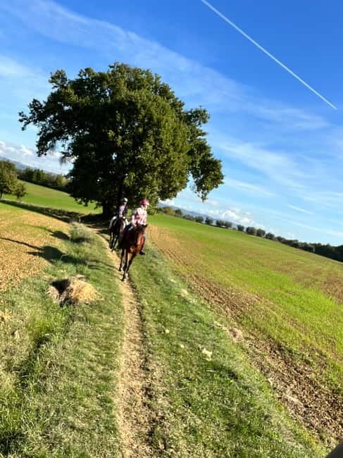 Horseback Ride in Tuscany with Lunch in da Vinci’s Land - Leaving Florence for Cerreto Guidi
