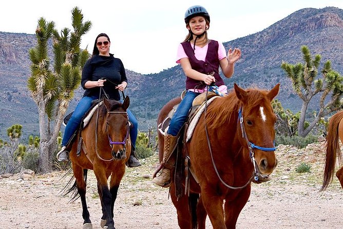 Horseback Ride Joshua Tree Forest Buffalo Lunch Singing Cowboy - How the $269 price measures up