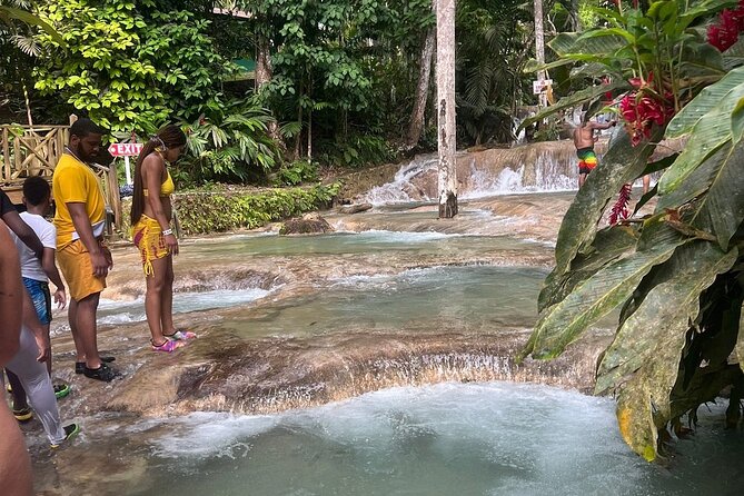 Horseback 'Ride N Swim' & Dunns River Falls from Montego Bay - Private driving changes the feel of the day