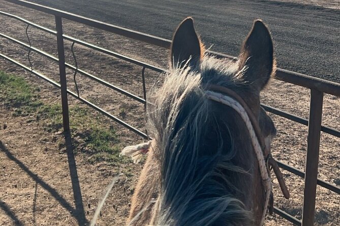 Horseback Ride near the Grand Canyon's West Rim - Lunch at Last Chance Restaurant and Saloon