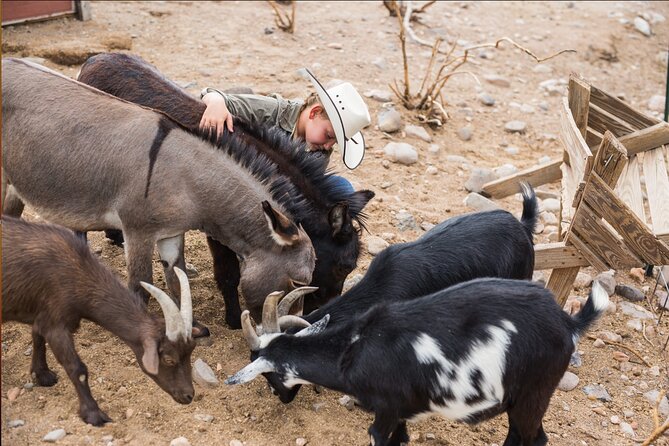 Horseback Ride near the Grand Canyon's West Rim - Is $25 a good price?