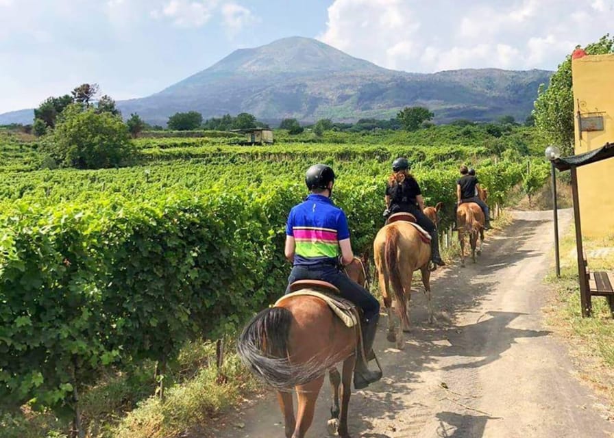 Horseback Ride on Mt. Vesuvius - Should you book the Vesuvius horseback ride?
