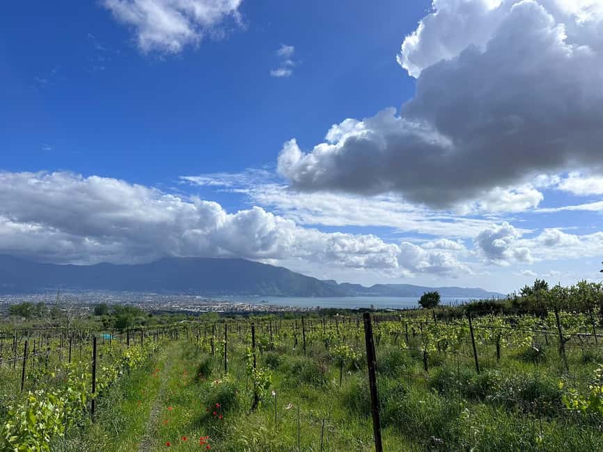 Horseback Ride on Mt. Vesuvius - Why ride Vesuvius instead of only visiting the crater?