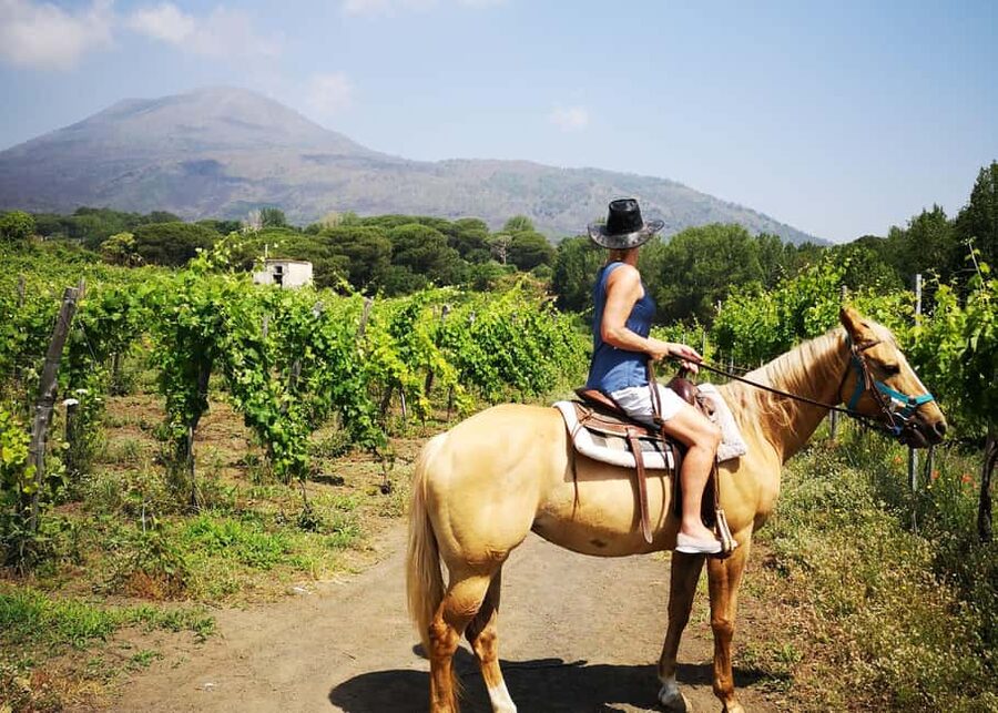 Horseback Ride on Mt. Vesuvius - Is $81 a fair price?