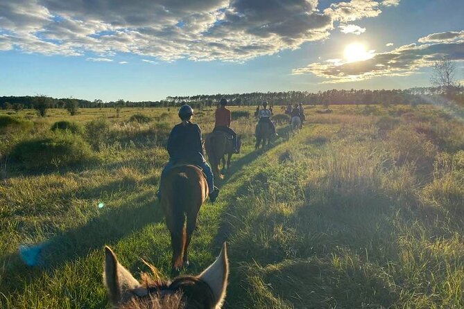 Horseback Ride on Scenic Lake Louisa Trails - Key points at a glance