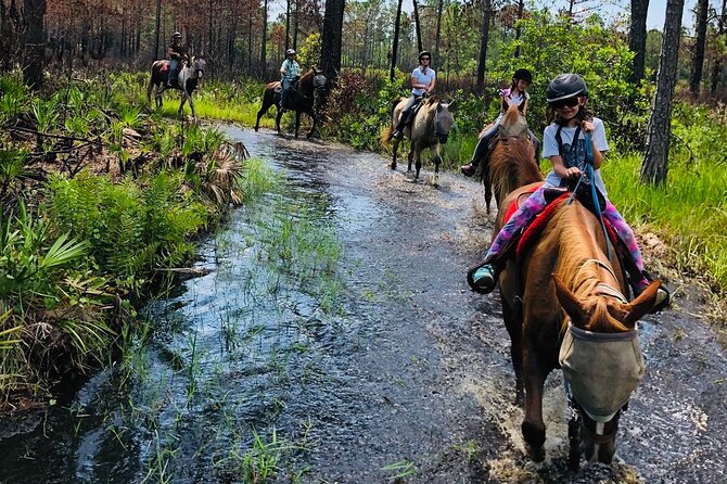 Horseback Ride on Scenic Lake Louisa Trails - Nature, plants, and the park’s past