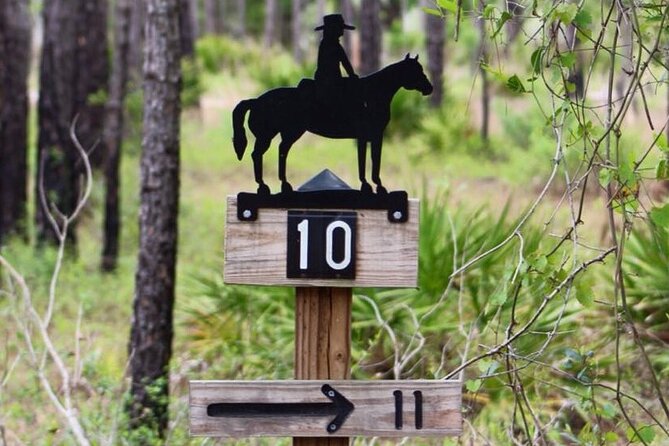 Horseback Ride on Scenic Lake Louisa Trails - Small groups make a real difference