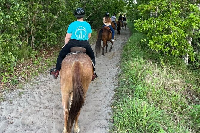 Horseback Ride on Scenic Lake Louisa Trails - Who will enjoy this ride most?