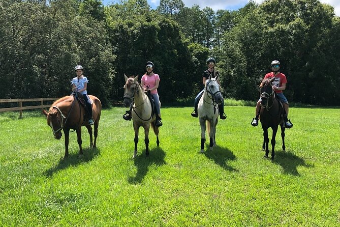Horseback Ride on Scenic Lake Louisa Trails - Practical tips before you book