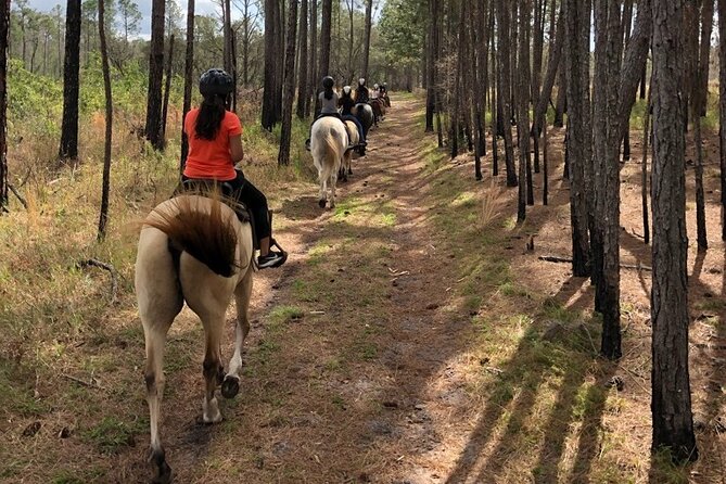 Horseback Ride on Scenic Lake Louisa Trails - What the 90-minute trail ride feels like