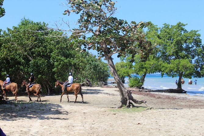 Horseback Ride & Swim Jamaica/Montego Bay - The Beach Ride and Horseback Swim