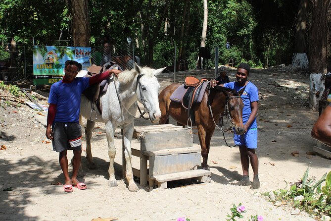 Horseback Ride & Swim Jamaica/Montego Bay - Fitness, Clothing, and What to Clarify
