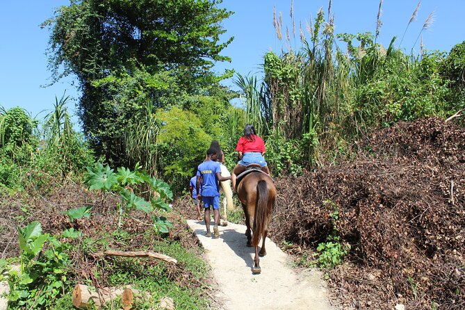 Horseback Ride & Swim Jamaica/Montego Bay - Booking Timing and Cancellation Rules