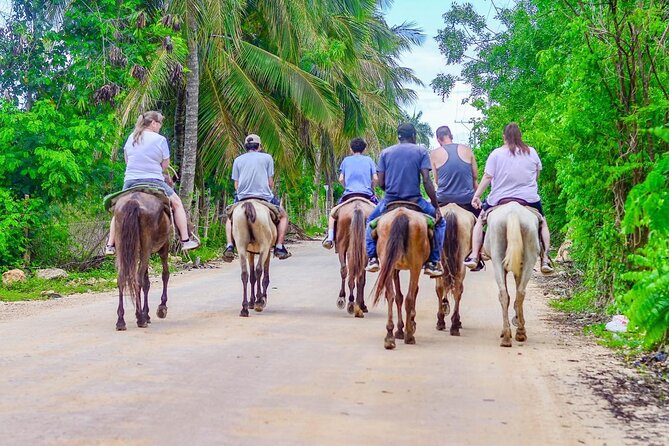 HORSEBACK - RIDE Through Punta Cana - The horses deserve your attention