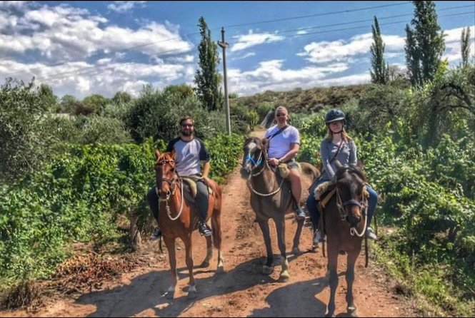 Horseback ride through vineyards followed by gourmet lunch - Lunch at Terruño in Club Tapiz