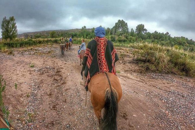 Horseback ride through vineyards followed by gourmet lunch - The 90-minute ride through vineyards and olive groves