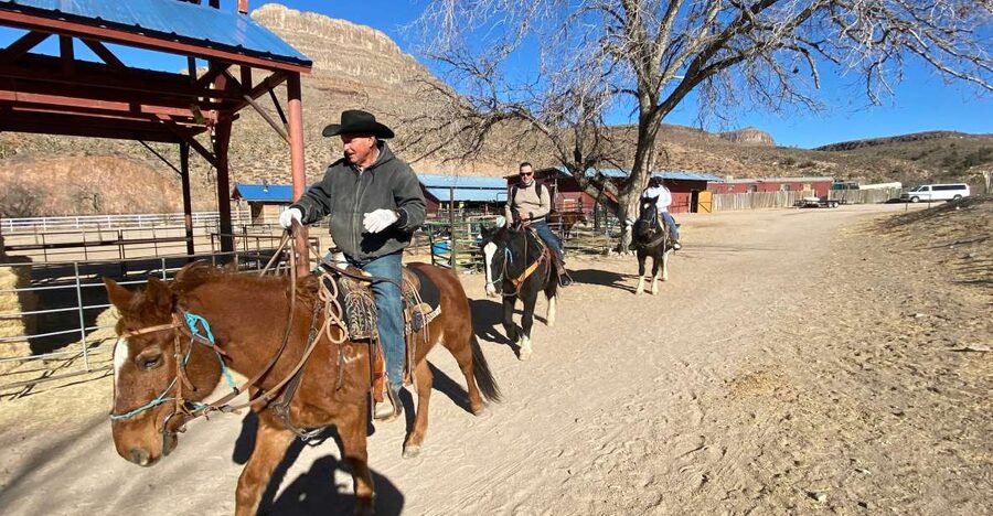 Horseback Ride thru Joshua Tree Forest with Buffalo & Lunch - Practical tips for a better day