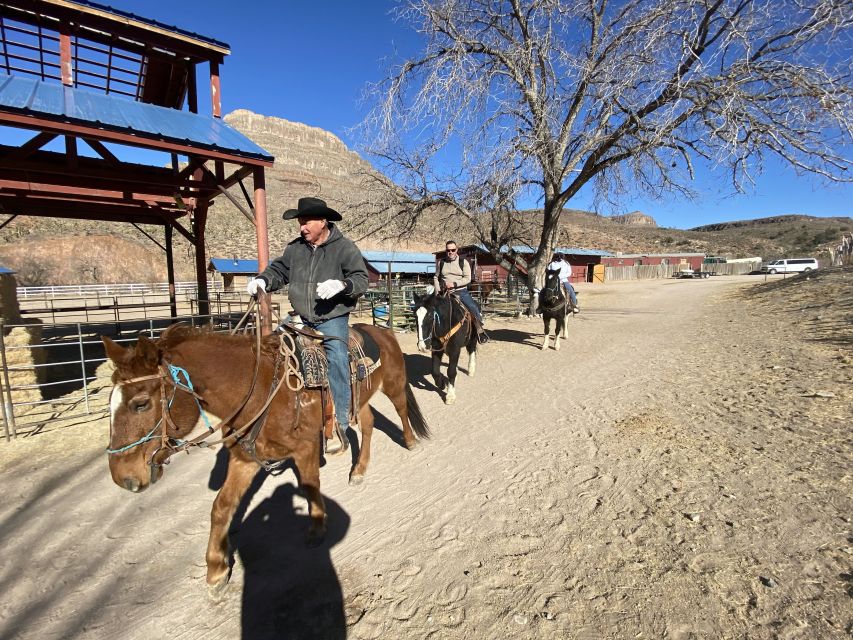 Horseback Ride thru Joshua Tree Forest with Buffalo & Lunch - A horseback route through Arizona’s Joshua Tree Forest