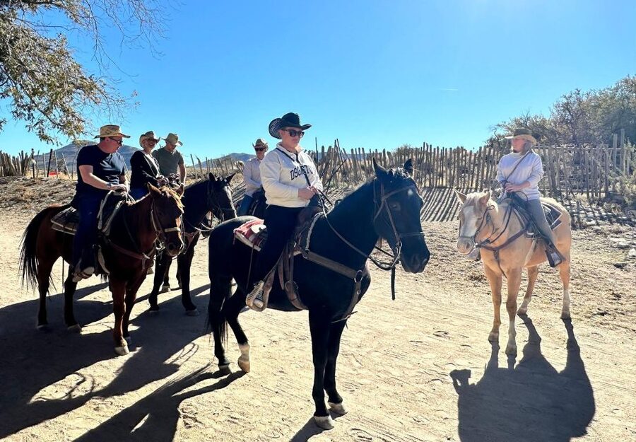 Horseback Ride thru Joshua Tree Forest with Buffalo & Lunch - Buffalo viewing beside the ranch trail