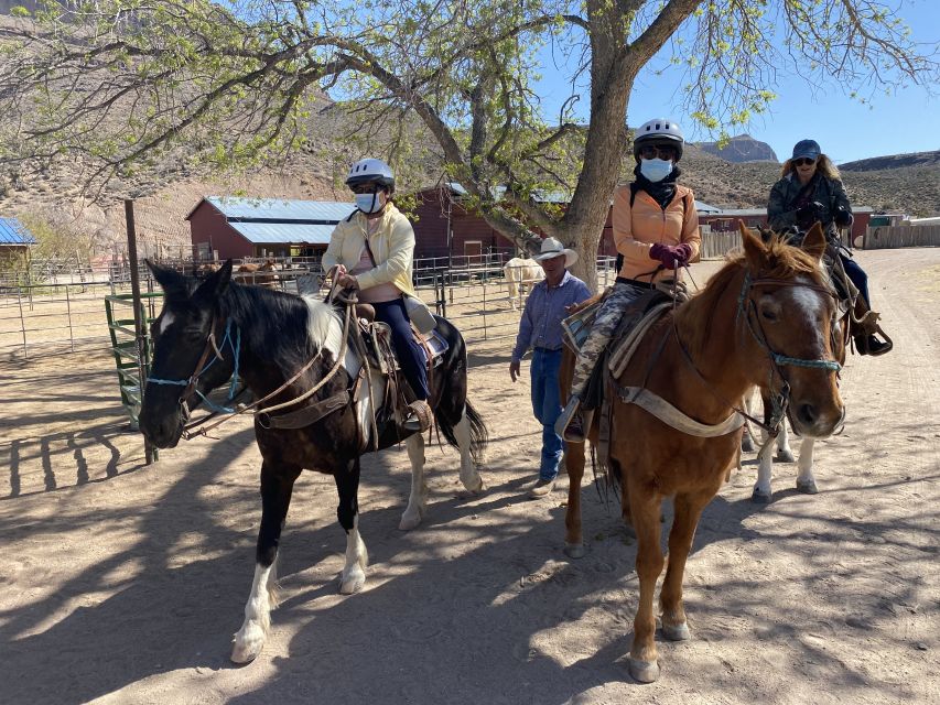 Horseback Ride thru Joshua Tree Forest with Buffalo & Lunch - How the $269 price holds up