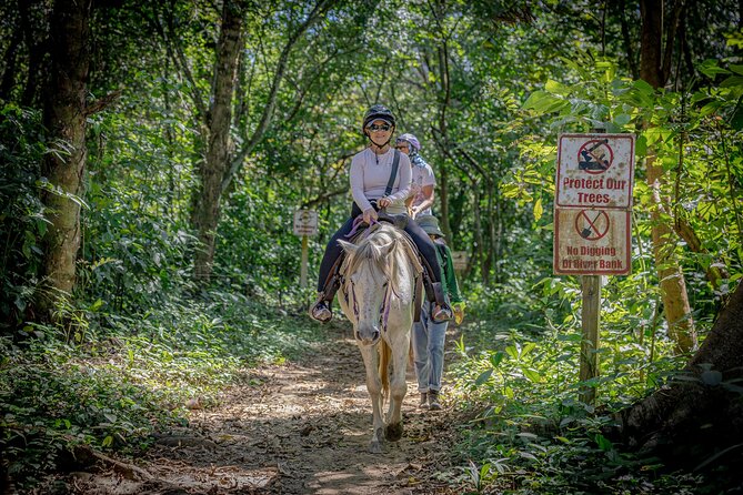 Horseback Ride to Xunantunich Maya Ruins - What the guides add to the day