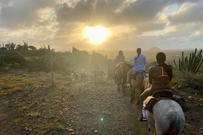 Horseback Ride Tour to Natural Pool in Arikok National Park - Reaching Conchi Natural Pool
