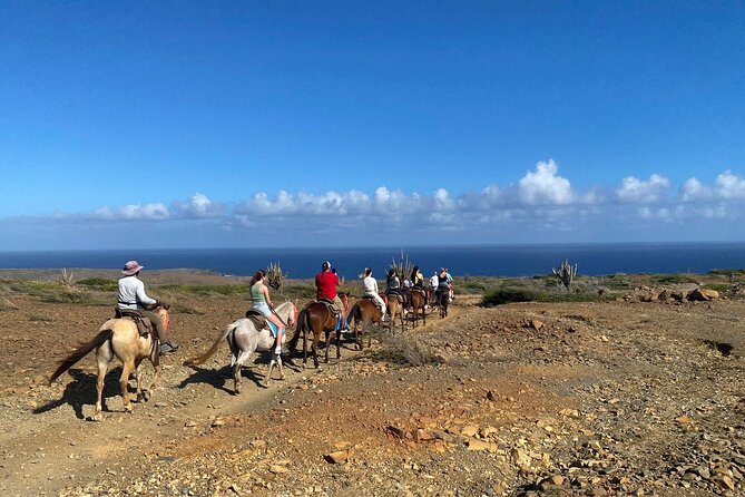 Horseback Ride Tour to Natural Pool in Arikok National Park - What to wear and bring for three hours outside