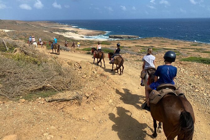 Horseback Ride Tour to Natural Pool in Arikok National Park - Price, group size, and what you receive