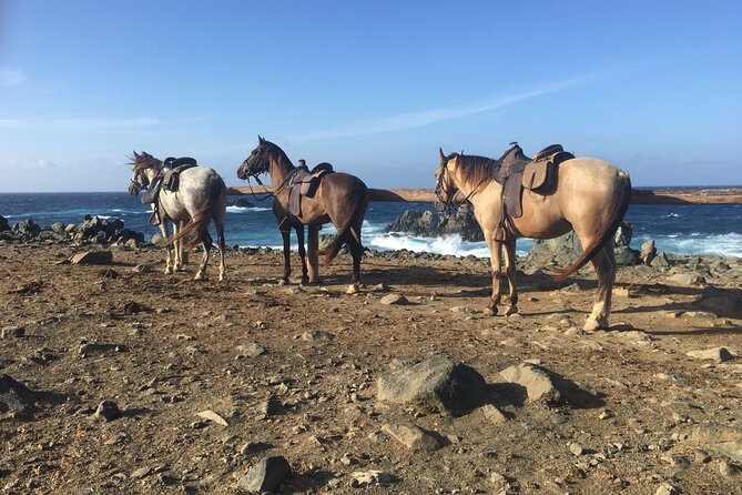 Horseback Ride Tour to Natural Pool in Arikok National Park - Booking details and cancellation concerns