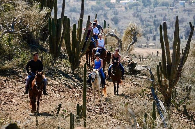 Horseback Ride Tour to Natural Pool in Arikok National Park - Pickup and the Rancho Loco start